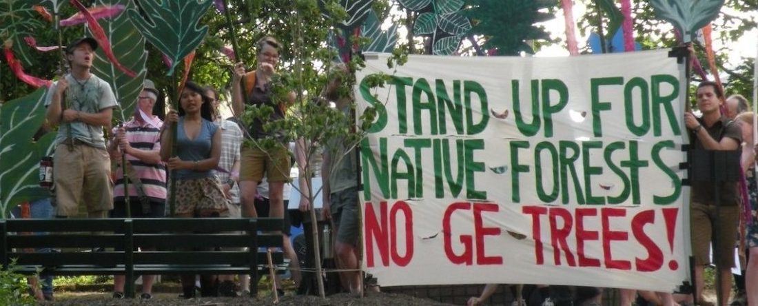 Asunción Declaration Rejects GE Trees:  The Global Movement Grows