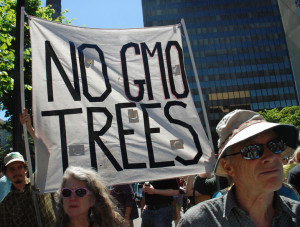 March against Monsanto 2013. langellephoto.org