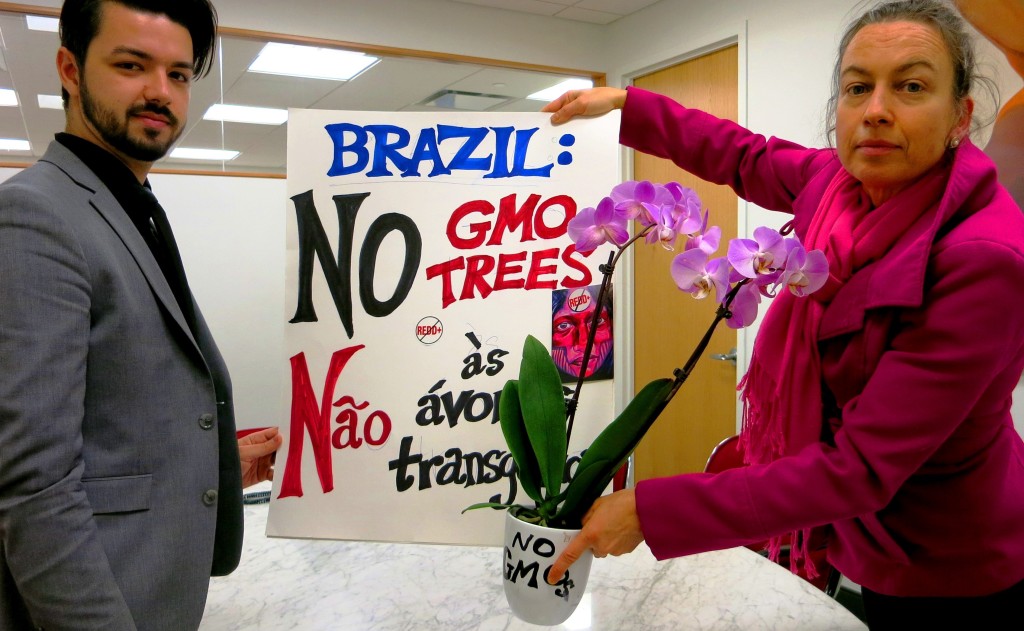 The Emergency Global Day of Action Against GE Trees at the Brazilian Consulate in New York City