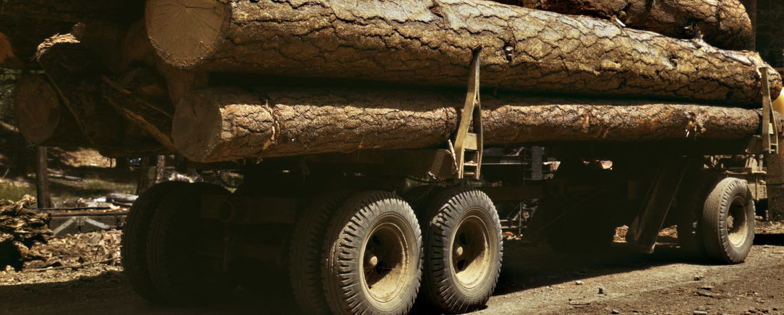 Truck_load_of_ponderosa_pine,_Edward_Hines_Lumber_Co,_operations_in_Malheur_National_Forest,_Grant_County,_Oregon,_July_1942