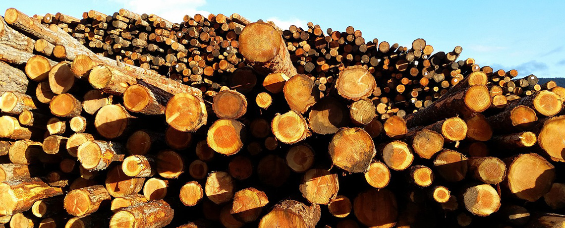 International Tropical Timber Organization Faces Financial Meltdown After $18M Fraud Losses