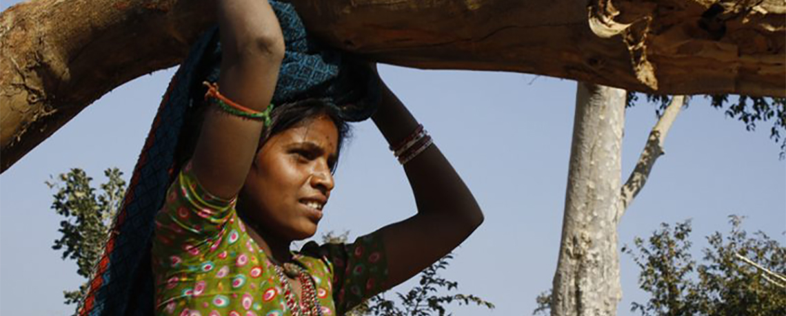 Mindless Deforestation in Jharkhand, India in the Name of Development