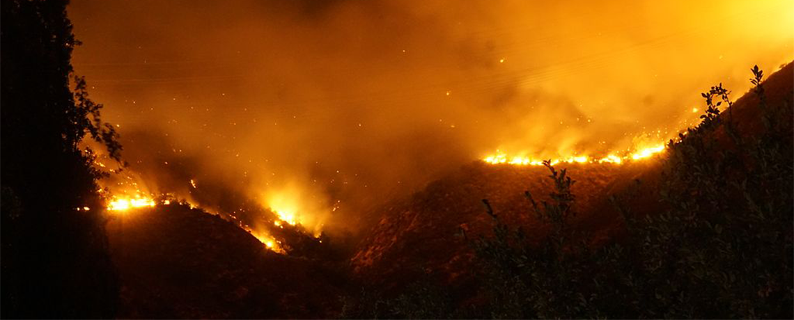 Research Determines Reasons for Massive Fires in South-Central Chile