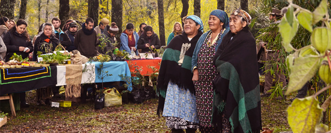 Indigenous Mapuche Vital to Protection of Chile’s Environment