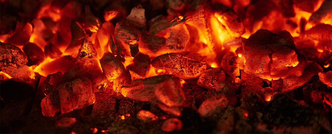Barbecue Charcoal Contributing to Disappearance of Tropical Forests