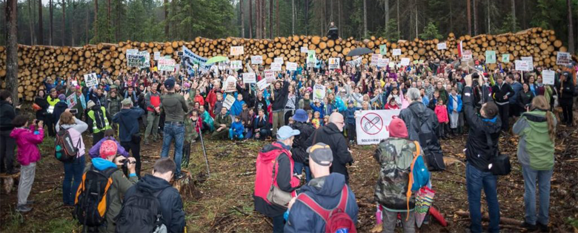Why is This Forest So Important? Resisting the Logging of Białowieża