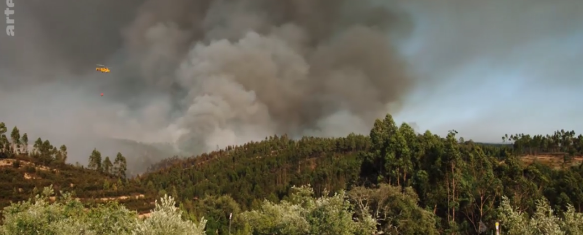 WATCH: Video Gives Stunning Look at Wildfires in Portugal