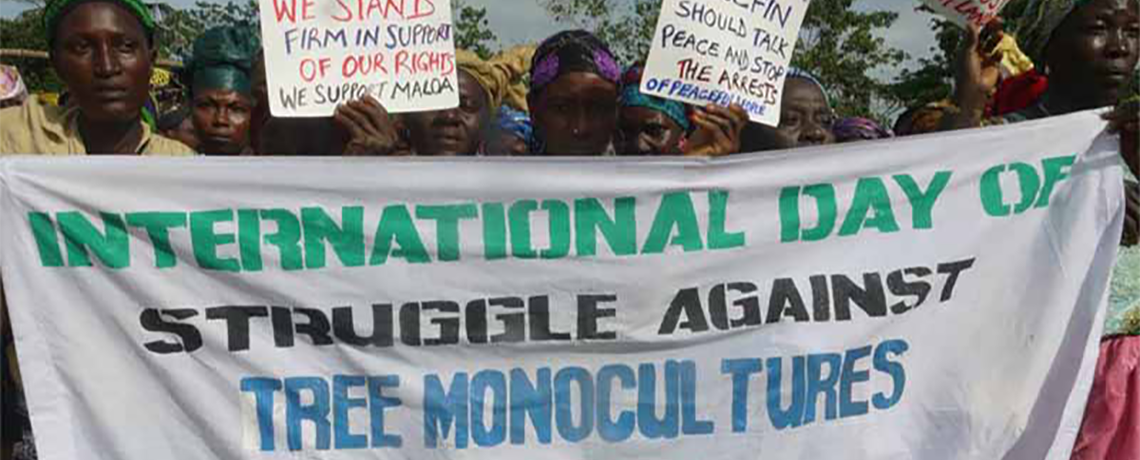 International Day of Struggle Against Monoculture Tree Plantations is Sept. 21