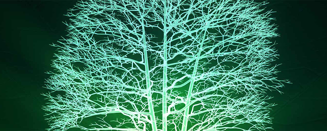 Genetically Engineered ‘Glowing’ Trees Present Practical, Ethical Challenges