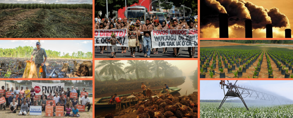 The Dark Side of the Bioeconomy: Climate Catastrophe, Forest Destruction, and Human Rights Abuses