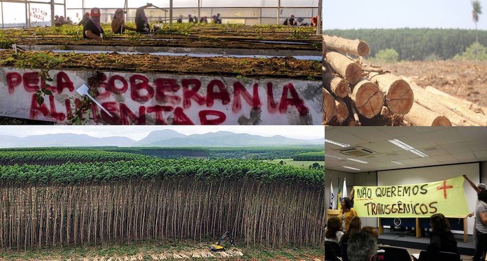 Org. Sign On! Brazil Groups Say Plantations Are Not Forests!