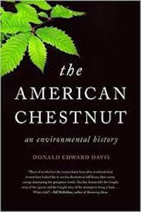 New Book on American Chestnut Looks at Consequences of GE Trees