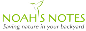 naoh's notes logo