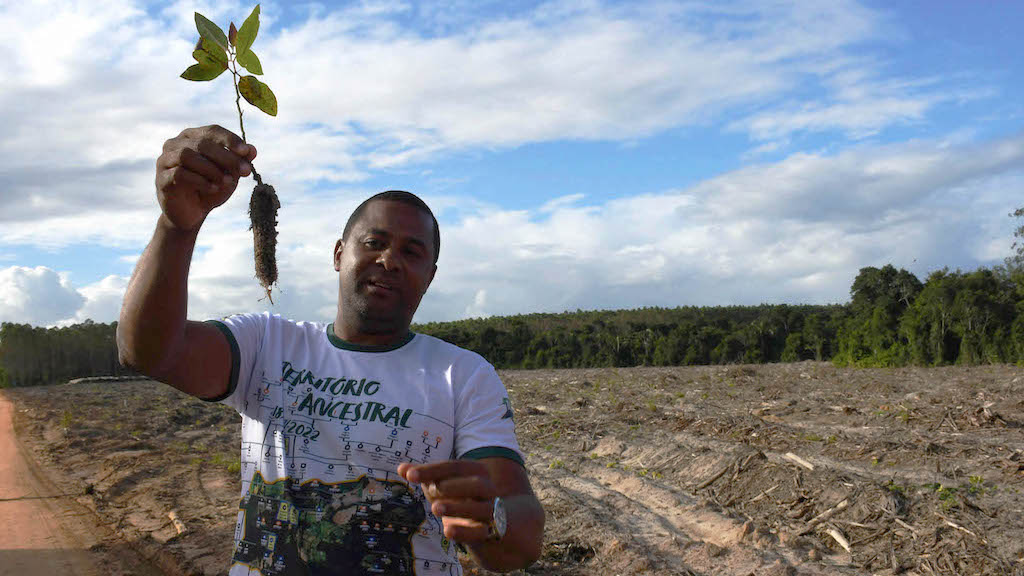 Watershed Sentinel: Brazil’s “Green Deserts”