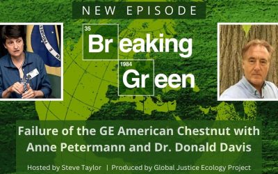 Breaking Green Podcast: Failure of the GE American Chestnut with Anne Petermann and Dr. Donald Davis